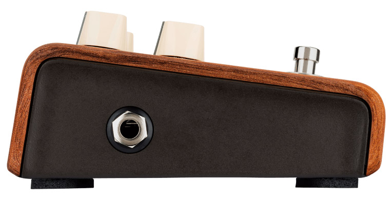 L.R. Baggs Align Series Reverb