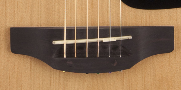 Takamine GD10CE-NS