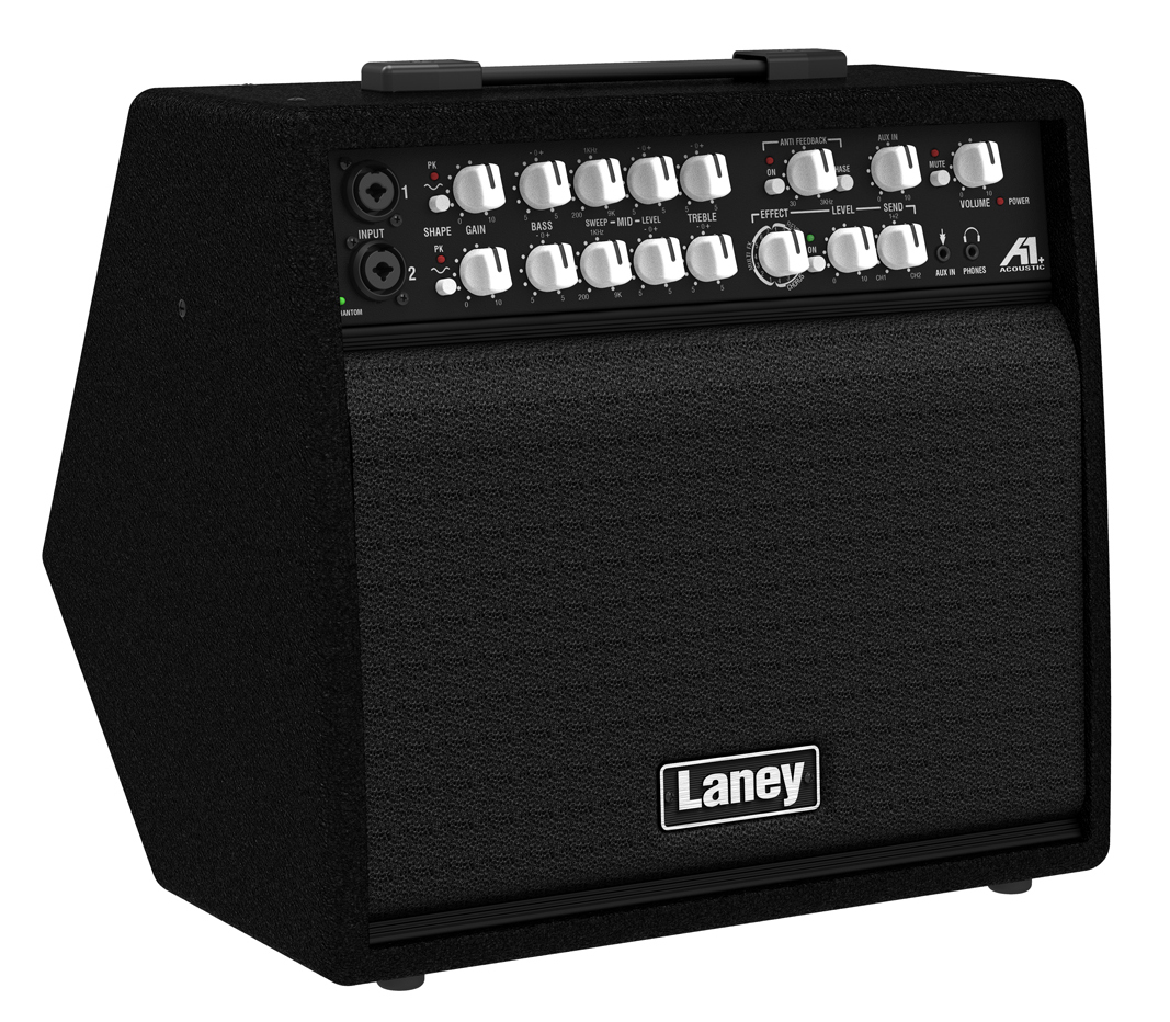 Laney A1+
