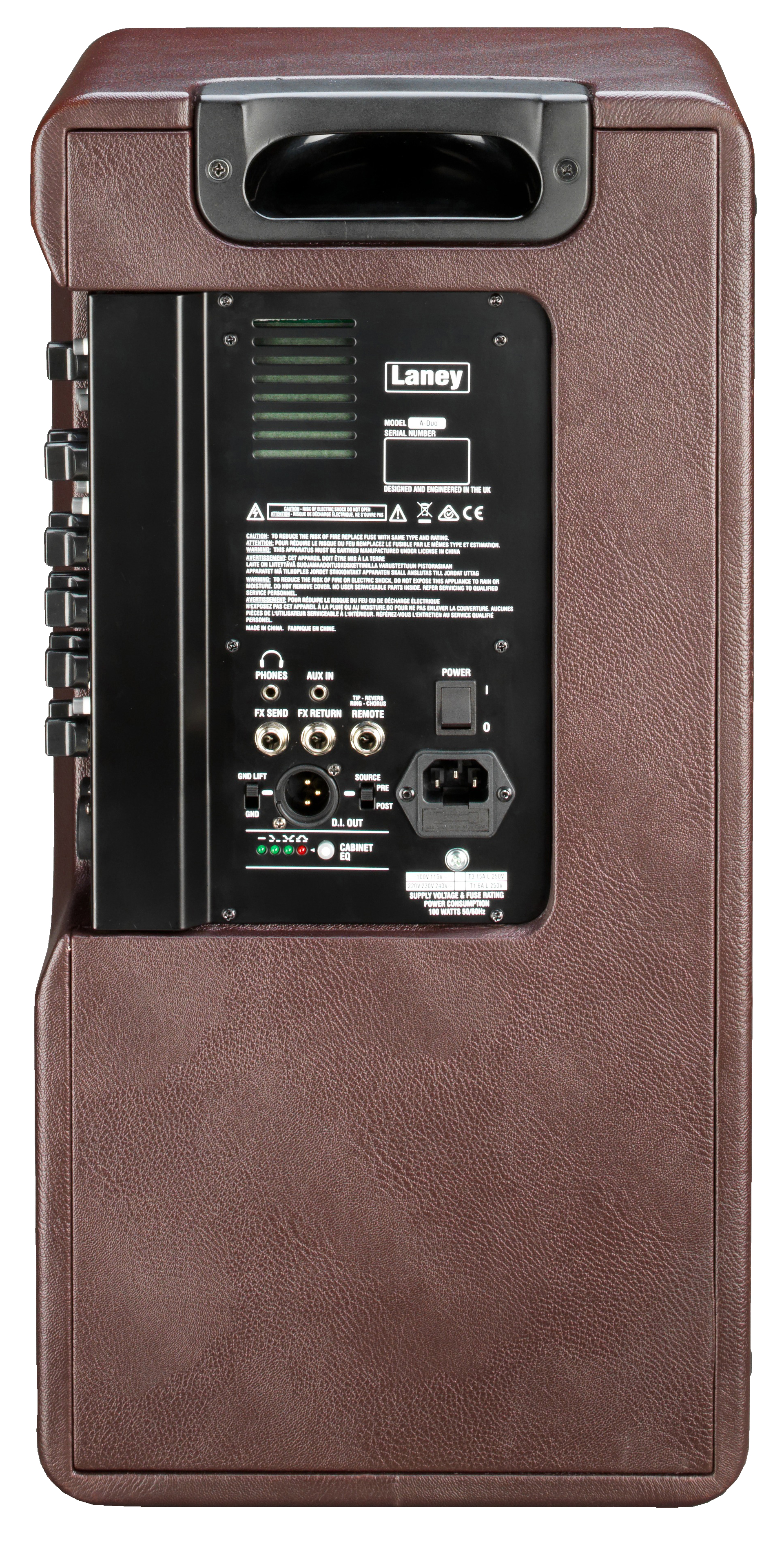 Laney A-Duo