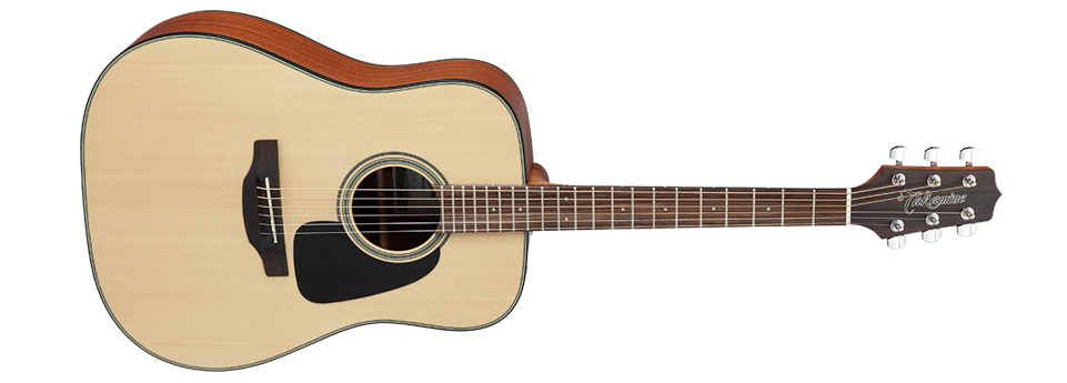 Takamine GD10-NS