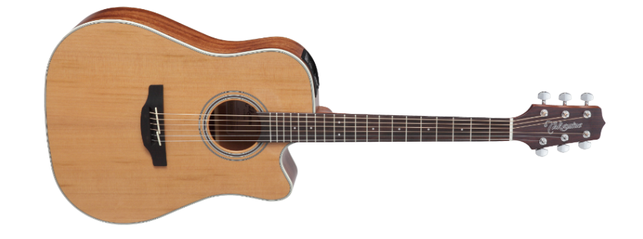 Takamine GD20CE-NS
